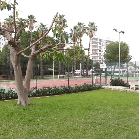 Bonito Solo Familias * Playa de Gandia